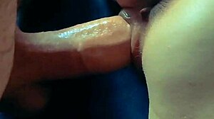 wife stockings homemade pov creampie collection matures amateurs