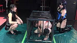 unsold masochist man greets final asian mistress at bdsm market