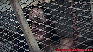 BDSM redhead bound nipples clamped deepthroat toyed whipped closeup