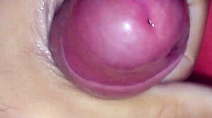 i got this creamy excited cock ready