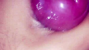 i got this creamy excited cock ready