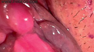 amateur asian wife licks shaved pussy post-virginity