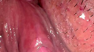 amateur asian wife licks shaved pussy post-virginity