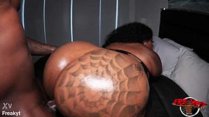 this bbw beauty handles that huge bbc like a total pro