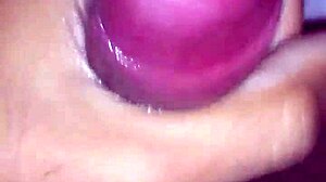 i got this creamy excited cock ready