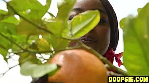 big ass ebony thief fucked by two trannies 😈🍑