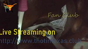 texas thot's pussy takes toothbrush vibrator fingering deep