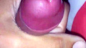 i got this creamy excited cock ready