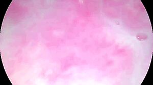 Watch my juicy pussy squeeze this dildo till i cum