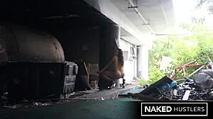 damn my big booty ebony babe's public deepthroat skills