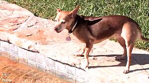 vanessa cage's backstage teen ass and tits reveal