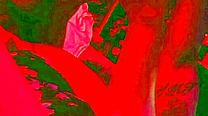 Cheating Wife's Legs Up for Big Cock Missionary Pounding!