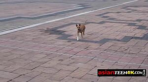 Sex tourist hunts petite Asian teen for outdoor fuck