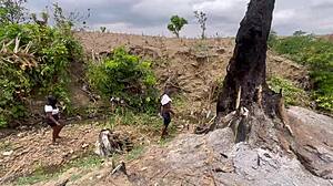 our steamy forest romp with her huge bbw ass and tits