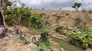 our steamy forest romp with her huge bbw ass and tits