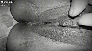 dominicana bbw, take all this hot cum deep inside your fat ass missionary!