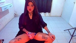 Kimberlypolizzi Update 85 Skinny Trans Stream Intensity