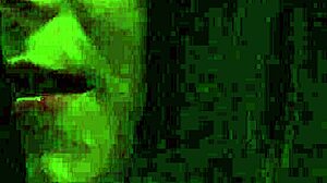 no escape from modern slave training