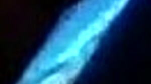 adventures of cubby da porn hubby chasing wild rides