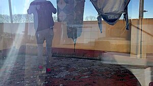 Hot Wife And Neighbor Pussy Eating Orgasms In Washing Room