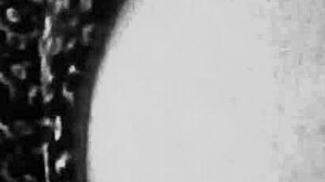 Gretala's Foot Breast Ass Fetish Worship Frenzy!