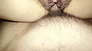 curvy hairy pussy latina begs for hot creampie load