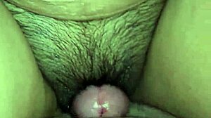 vered wifey teases my cock with her wet latina pussy handjob