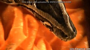 Asian milf brunette sways hips in seductive indian erotic dance