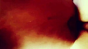 Licking toes and feet soles closely