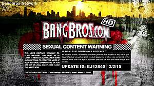 bookworm brunettes suck cock for facial cumshots in library