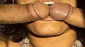 my secret life vintage bisexual hairy cocks one mouth two...