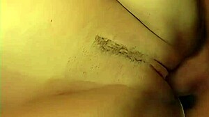 laura lions fresh off racks in lingerie tease