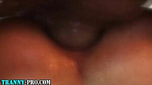 Trans latina prostitute hooks up for hardcore anal ride on throbbing cock