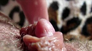 Huge throbbing clit explodes in intense closeup orgasm!