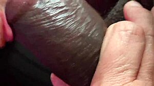 Juicy BBW Flashes Fat Ass For BBC Creampie In Car!