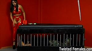 You Kneel Before Mistress in Total BDSM Slave Humiliation