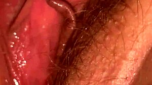 i crave sucking that crazy licking cunt nonstop