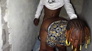 Best Ebony Big Ass Doggystyle Blowjob Collection Ever