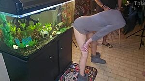 watch friend's wife shove dildo deep while old pals creampie it bent over pussy dripping