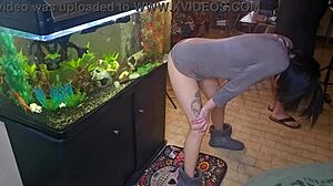 watch friend's wife shove dildo deep while old pals creampie it bent over pussy dripping