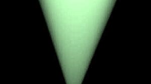 paola rides papi shampu in wild prostitute animation