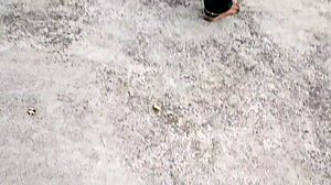 whoa indian bride's chubby belly shakes during wild creampie wedding fuck!