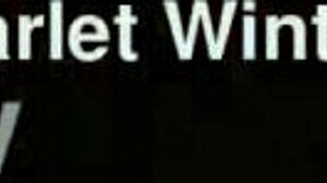 god my new toys feel amazing on my big tits