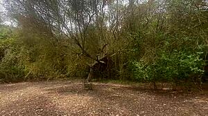 Stepbrother mountain blowjob cum mouth