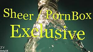 Quickfap Aurelly Rebel's Full Anal Creampie Ride Lick Swallow Session