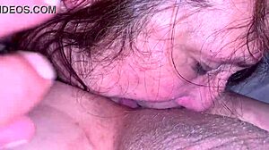 princess drops to knees rimming my taint balls hungrily