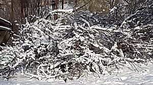 Jerking off in public park—right near strangers!