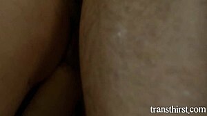 ariel demure summons cliff jensen to pound tight ass in library