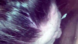 jackie can't stop sucking her coworker's huge bbc!