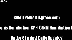 Ever wonder why your tiny penis makes you her perfect humiliated slave?